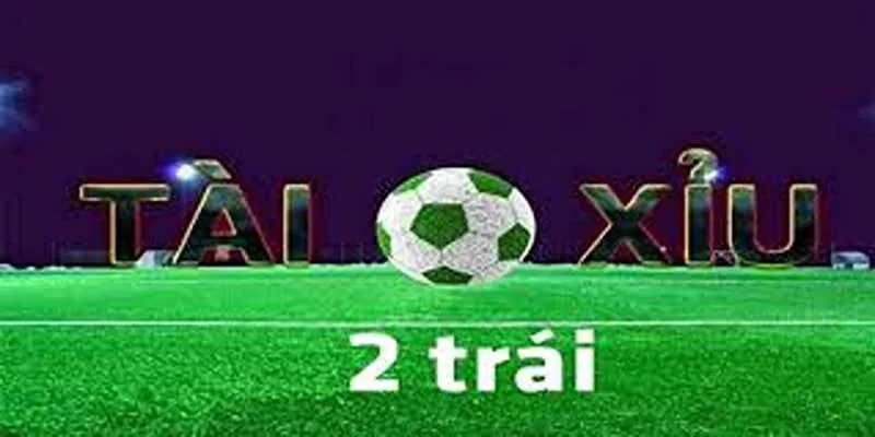 tai-xiu-2-trai-1